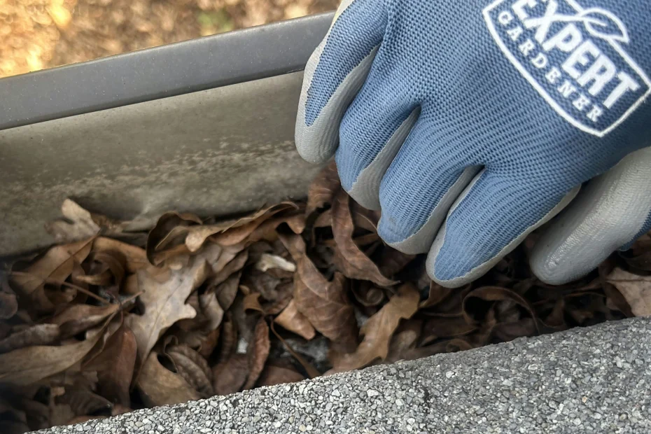 Gutter Cleaning Levittown