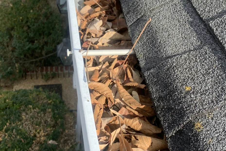 Gutter Cleaning Levittown