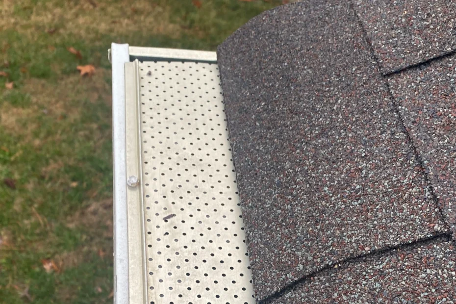 Levittown Gutter Cleaning